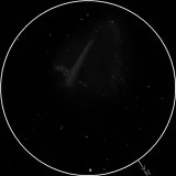 Messier 17, Maglica Labud