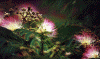 cvijece 01.gif (64149 bytes)