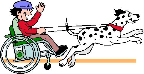 Pas vozi hendikepiranu osobu u kolicima